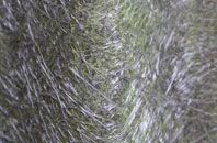 Chinley Head fibreglass roof work